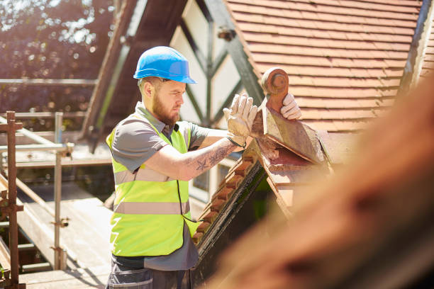 Best Roof Gutter Cleaning  in Hazlehurst, GA